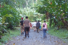 xtremas_voluntarios